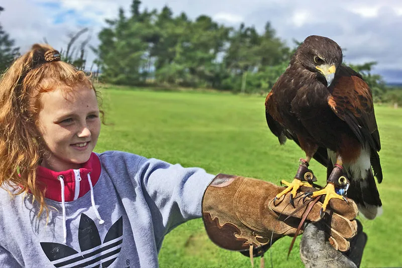A bird of prey sits on the gloved hand of a girl.