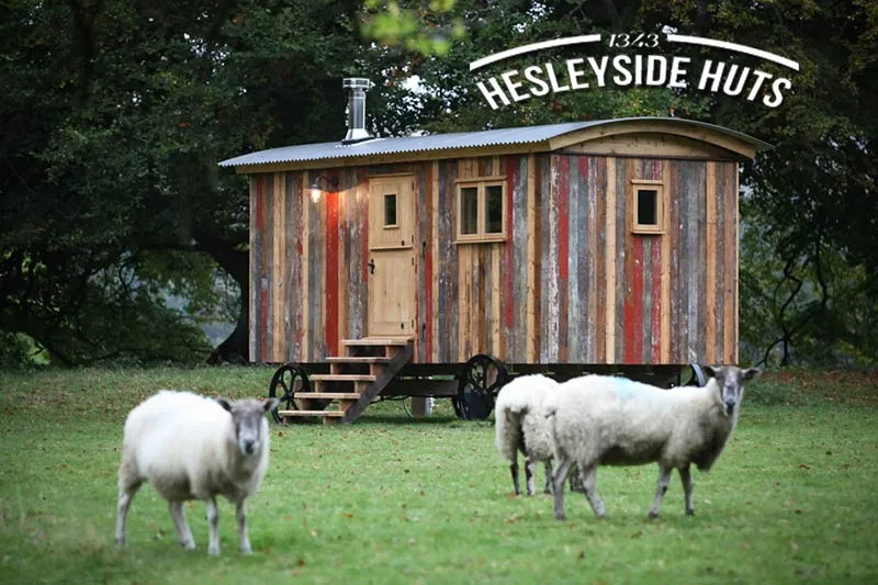 Shepherds hut with random coloured reclaimed wood panels. Sheep in the foreground.