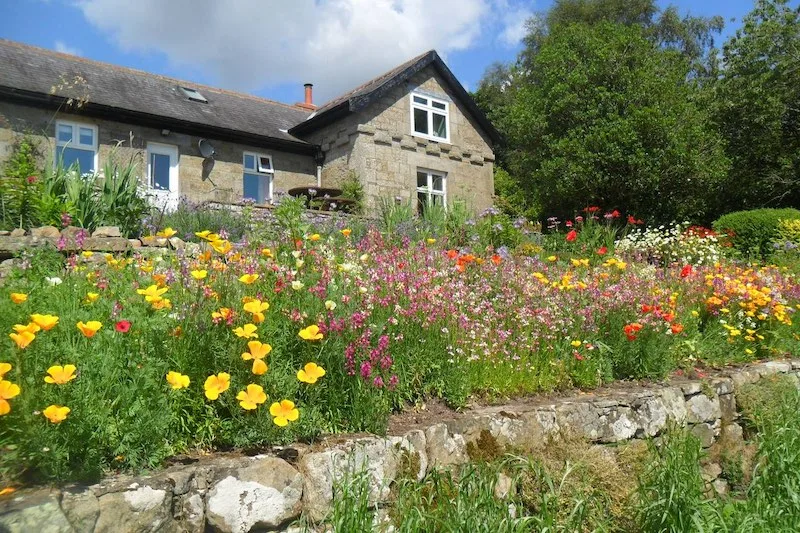 Abundant flowers in the garden in front of this raised stone cottage.