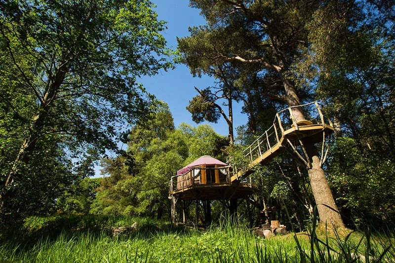 Treehouse accommodation with gang ways between the trees.